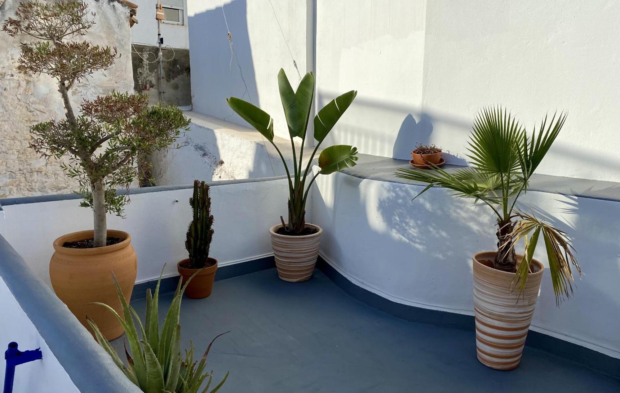 דירות טריפה 132 La Casa Del Pintor מראה חיצוני תמונה